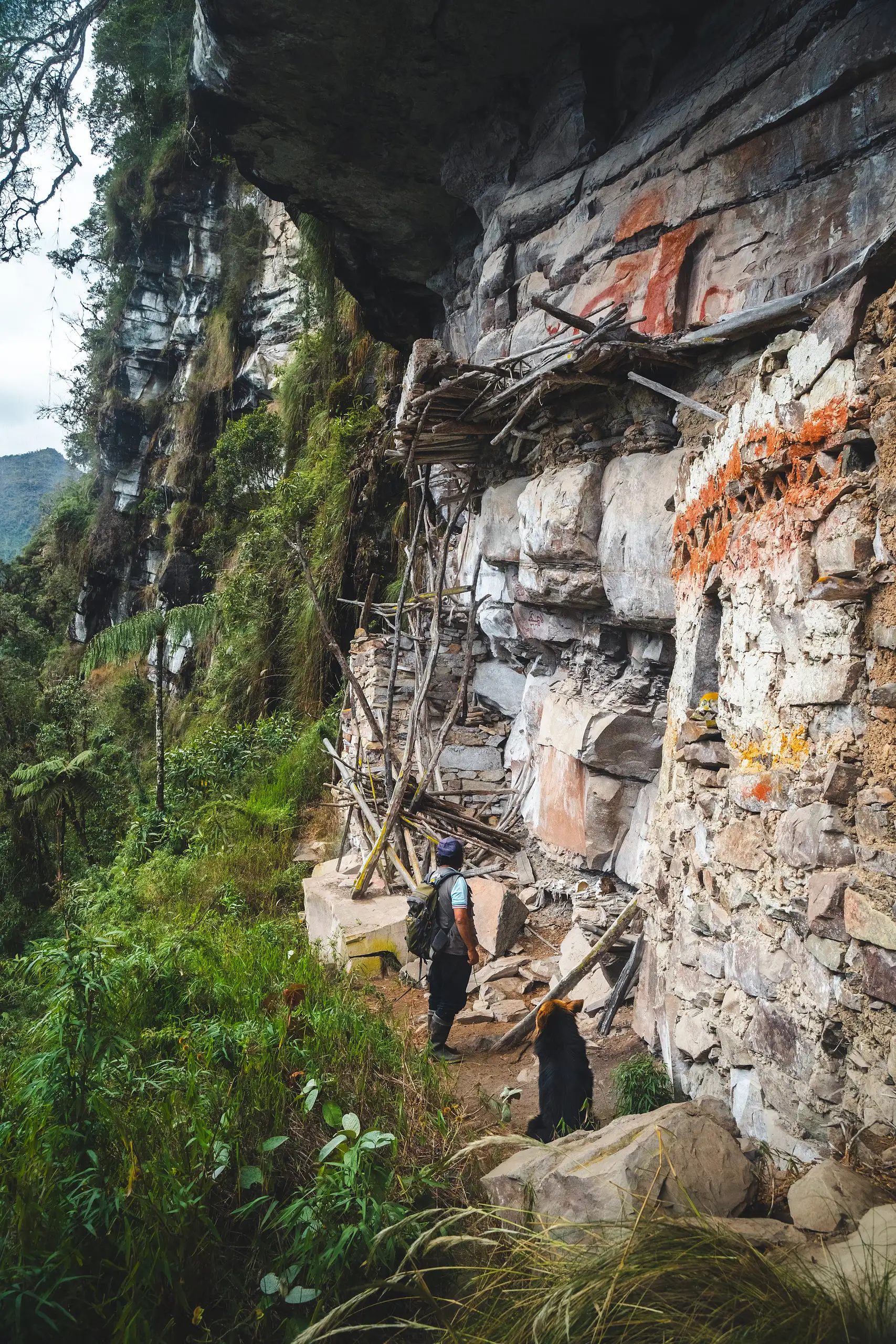 Vertical view of an AAV guide and a hiker on a narrow path under a huge limestone overhang, Chachapoya tomb walls with red painted friezes built into the cliff beside them, Laguna de los Cóndores, Amazonas, Peru